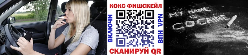 купить наркотик  Сосновка  ссылка на мегу вход  Cocaine Эквадор 