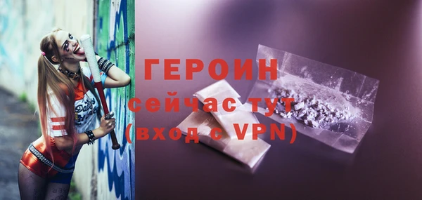 гидра Вязьма