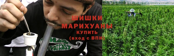 первитин Горнозаводск