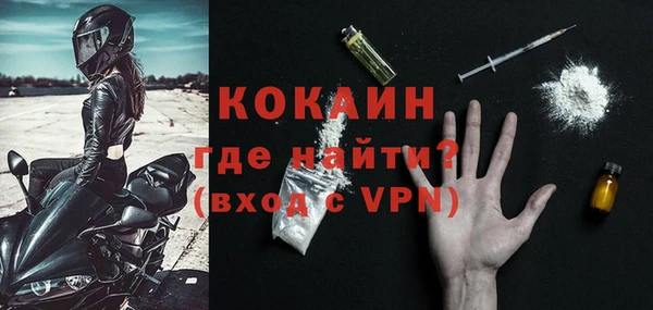 гидра Вязьма