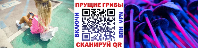 Псилоцибиновые грибы прущие грибы купить наркотики цена Сосновка